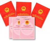 Cấp Giấy chứng nhận cho đất được giao không đúng thẩm quyền Cấp Giấy chứng nhận cho đất được giao không đúng thẩm quyền