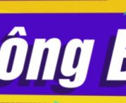 Thông tư 02/2019/TT-BKHĐT sửa đổiThông tư 20/2015/TT-BKHĐT Thông tư 02/2019/TT-BKHĐT sửa đổiThông tư 20/2015/TT-BKHĐT