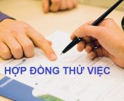 Gia hạn hợp đồng thử việc và trả lương khi nghỉ trong thời gian thử việc? Gia hạn hợp đồng thử việc và trả lương khi nghỉ trong thời gian thử việc?