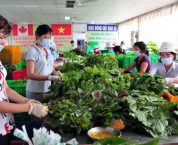 Hộ kinh doanh nộp thuế theo phương pháp khoán phải nộp thuế, lệ phí gì? Hộ kinh doanh nộp thuế theo phương pháp khoán phải nộp thuế, lệ phí gì?