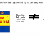 Hàng hóa dịch vụ có khả năng phân biệt Hàng hóa dịch vụ có khả năng phân biệt