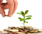 Nguyên tắc bảo hộ quyền đối với giống cây trồng Nguyên tắc bảo hộ quyền đối với giống cây trồng