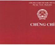 Quy định về chứng chỉ hành nghề chứng khoán là gì? Quy định về chứng chỉ hành nghề chứng khoán là gì?