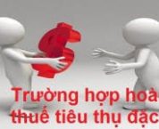 Hồ sơ hoàn thuế tiêu thụ đặc biệt đối với hàng tạm nhập khẩu, tái xuất khẩu Hồ sơ hoàn thuế tiêu thụ đặc biệt đối với hàng tạm nhập khẩu, tái xuất khẩu