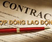 Những điều người lao động cần biết khi giao kết hợp đồng lao động Những điều người lao động cần biết khi giao kết hợp đồng lao động