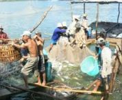 Thời hạn nộp hồ sơ khai thuế tài nguyên Thời hạn nộp hồ sơ khai thuế tài nguyên