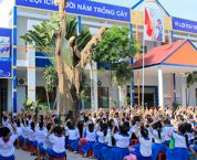 Thủ tục đình chỉ hoạt động giáo dục đối với trường tiểu học tư thục Thủ tục đình chỉ hoạt động giáo dục đối với trường tiểu học tư thục