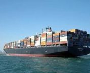Thủ tục miễn thuế xuất nhập khẩu theo quy định pháp luật Thủ tục miễn thuế xuất nhập khẩu theo quy định pháp luật