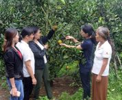 Các trường hợp chấm dứt tư cách thành viên tổ hợp tác Các trường hợp chấm dứt tư cách thành viên tổ hợp tác