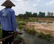 Bồi thường về đất đối với đất nông nghiệp hiện nay như thế nào? Bồi thường về đất đối với đất nông nghiệp hiện nay như thế nào?