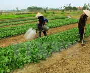 Bồi thường chi phí đầu tư vào đất như thế nào? Bồi thường chi phí đầu tư vào đất như thế nào?