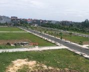 Xử lý đất dự án không đưa vào sử dụng hiện nay bị xử lý ra sao? Xử lý đất dự án không đưa vào sử dụng hiện nay bị xử lý ra sao?
