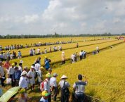 Hình thức sử dụng đất được Nhà nước giao đất Hình thức sử dụng đất được Nhà nước giao đất