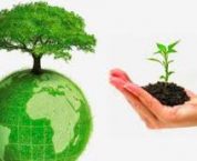 Quy định pháp luật về hoàn thuế bảo vệ môi trường Quy định pháp luật về hoàn thuế bảo vệ môi trường