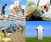 Chi đầu tư phát triển của ngân sách nhà nước là gì? Chi đầu tư phát triển của ngân sách nhà nước là gì?