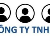 Công ty trách nhiệm hữu hạn là gì? Ưu điểm và nhược điểm Công ty trách nhiệm hữu hạn là gì? Ưu điểm và nhược điểm
