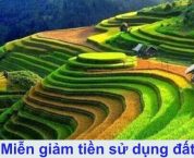Được miễn, giảm tiền sử dụng đất mấy lần theo luật hiện hành? Được miễn, giảm tiền sử dụng đất mấy lần theo luật hiện hành?