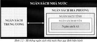 Những khoản thu nào được coi là khoản thu ngân sách nhà nước Các hình thức