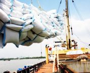 Kinh doanh xuất khẩu gạo cần đáp ứng những điều kiện nào? Kinh doanh xuất khẩu gạo cần đáp ứng những điều kiện nào?