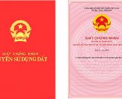 Phân biệt cấp đổi sổ đỏ và đính chính sổ đỏ Phân biệt cấp đổi sổ đỏ và đính chính sổ đỏ