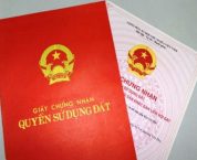 Nợ tiền sử dụng đất có được chuyển nhượng quyền sử dụng đất đó? Nợ tiền sử dụng đất có được chuyển nhượng quyền sử dụng đất đó?