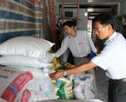 Thủ tục cấp lại Giấy chứng nhận đủ điều kiện buôn bán phân bón Thủ tục cấp lại Giấy chứng nhận đủ điều kiện buôn bán phân bón