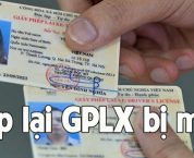 Thủ tục cấp lại Giấy phép lái xe bị mất theo quy định mới nhất Thủ tục cấp lại Giấy phép lái xe bị mất theo quy định mới nhất