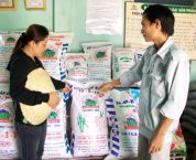 Trình tự cấp Giấy chứng nhận đủ điều kiện buôn bán phân bón Trình tự cấp Giấy chứng nhận đủ điều kiện buôn bán phân bón