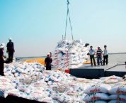Trình tự cấp Giấy phép nhập khẩu phân bón theo quy định hiện hành Trình tự cấp Giấy phép nhập khẩu phân bón theo quy định hiện hành