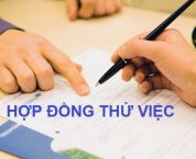 Quy định về thời gian thử việc mới nhất theo bộ luật lao động Quy định về thời gian thử việc mới nhất theo bộ luật lao động